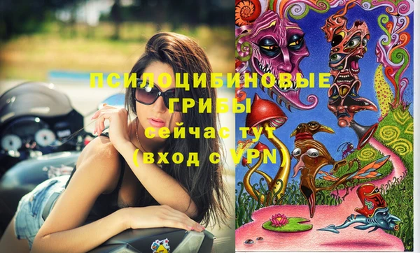 герыч Кулебаки