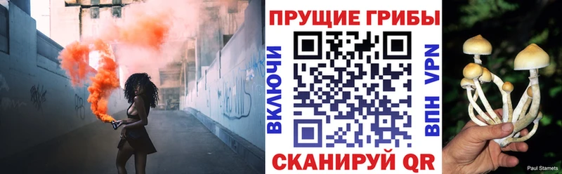 kraken онион Псков Псилоцибиновые грибы мицелий