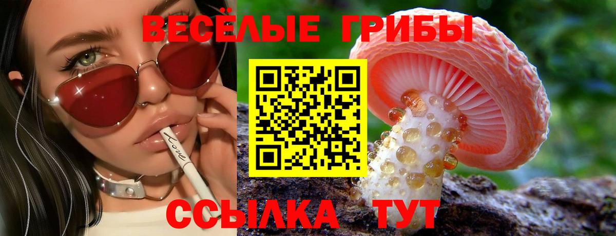 Псков  Псилоцибиновые грибы Psilocybe  Псилоцибиновые грибы Magic Shrooms  Вход с VPN 